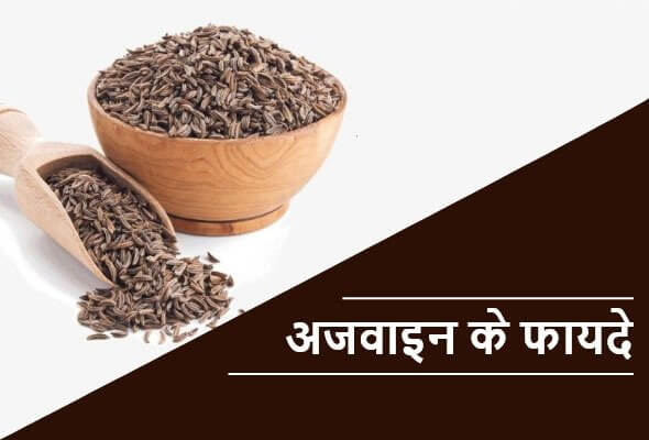 Ajwain Benefits : अजवाइन के कमाल के फायदे