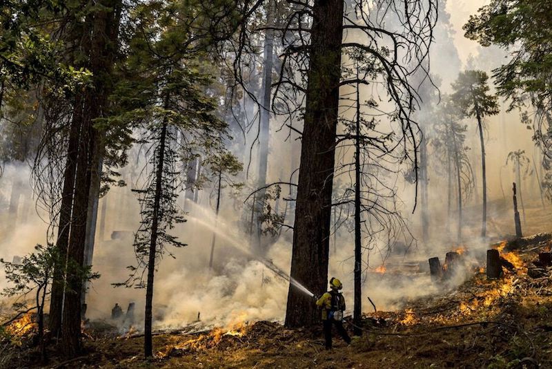 California Wildfire