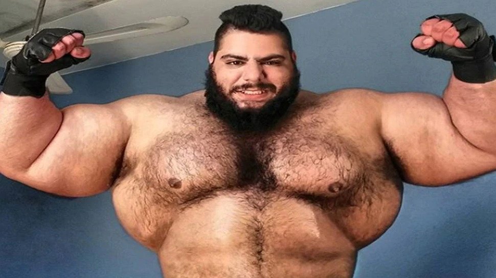 सजद घरीबी, The Iranian Hulk