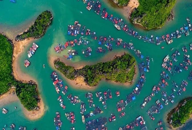 Majuli largest river island