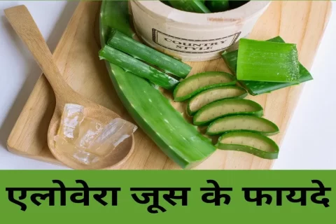 Aloe Vera एलोवेरा gwarpatha जूस के फायदे उड़ा देंगे होश